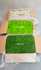 Zestawienie kolorów 5kg (tutaj moss green->medium green)