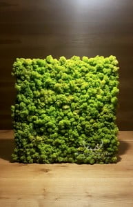 Panel mech norweski 50x50cm spring green