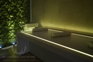Moss Interior of modern spa salon