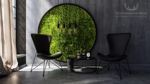 Round moss on wall