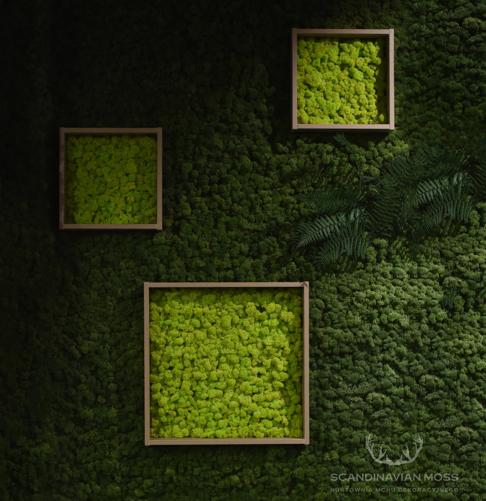 Dark green moss wall background
