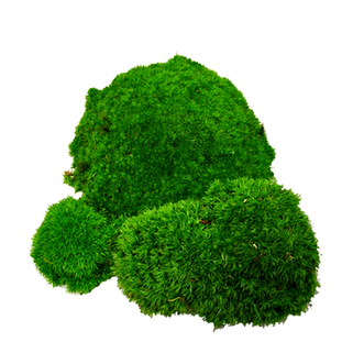 mech-poduszkowy-zielony