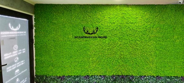 Zielona ściana scandinavian moss