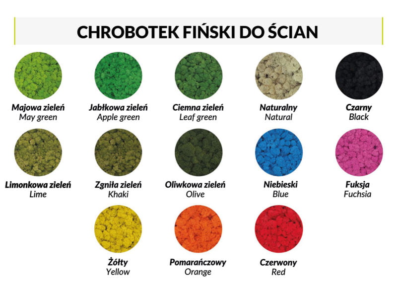 chrobotek finski kolory