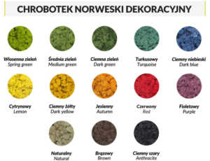 kolory chrobotek norweski