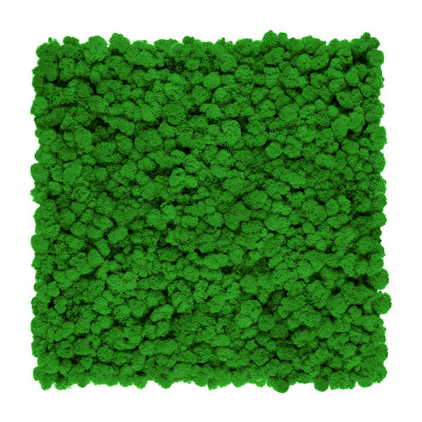 panel chrobotek trawiasty zielony grass green