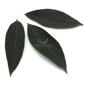 liście velvet stabilizowane