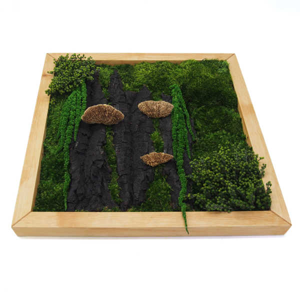 Obraz z mchu, kory i roślin stabilizowanych w drewnianej ramie 50x50cm