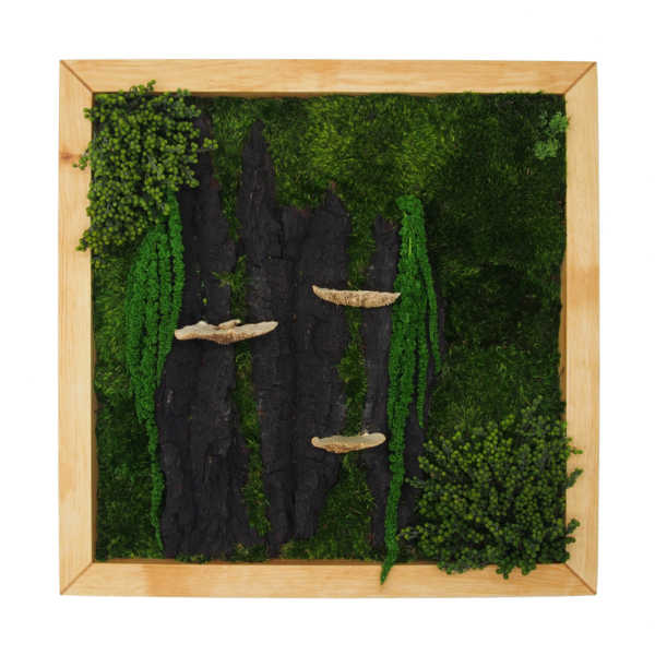 Obraz z mchu, kory i roślin stabilizowanych w drewnianej ramie 50x50cm